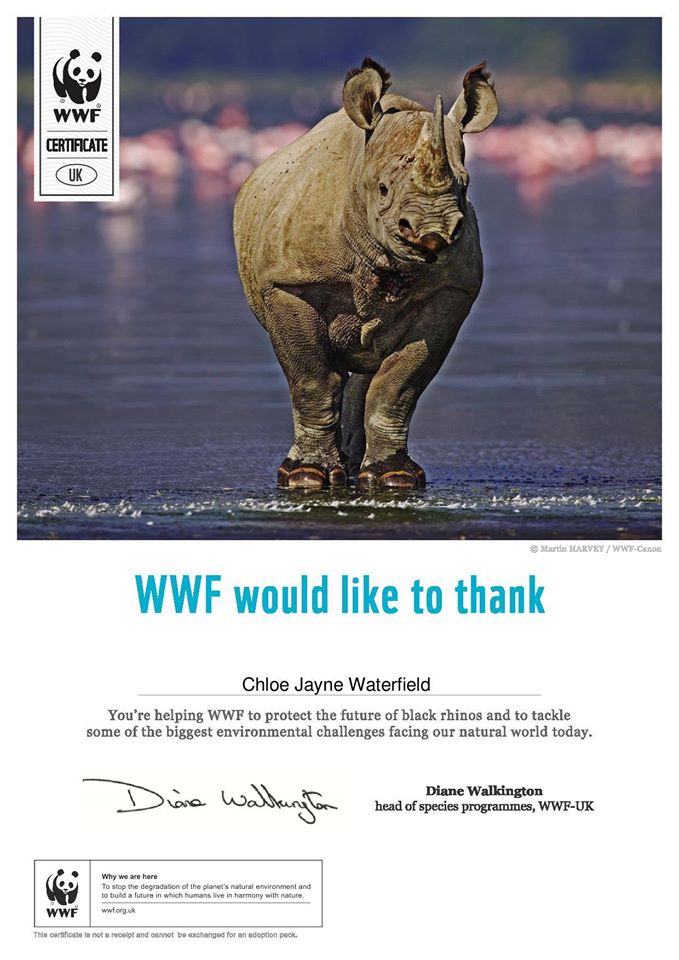 Adopt a Rhino World Widlife Fund